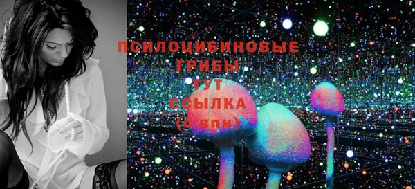 эйфоретик Алексин